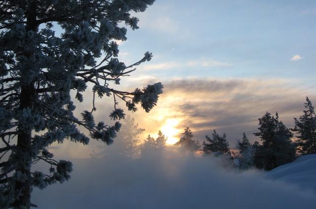 Vinterbild med sol som går ner i dimmoln.